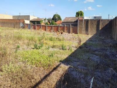 Terreno para Venda, em Assis, bairro Vila Silvestre