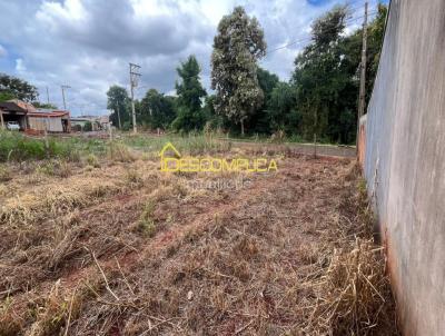 Terreno para Venda, em Maraca�, bairro 