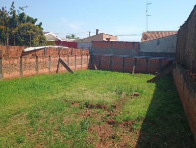 Terreno para Venda, em Assis, bairro Vila Souza